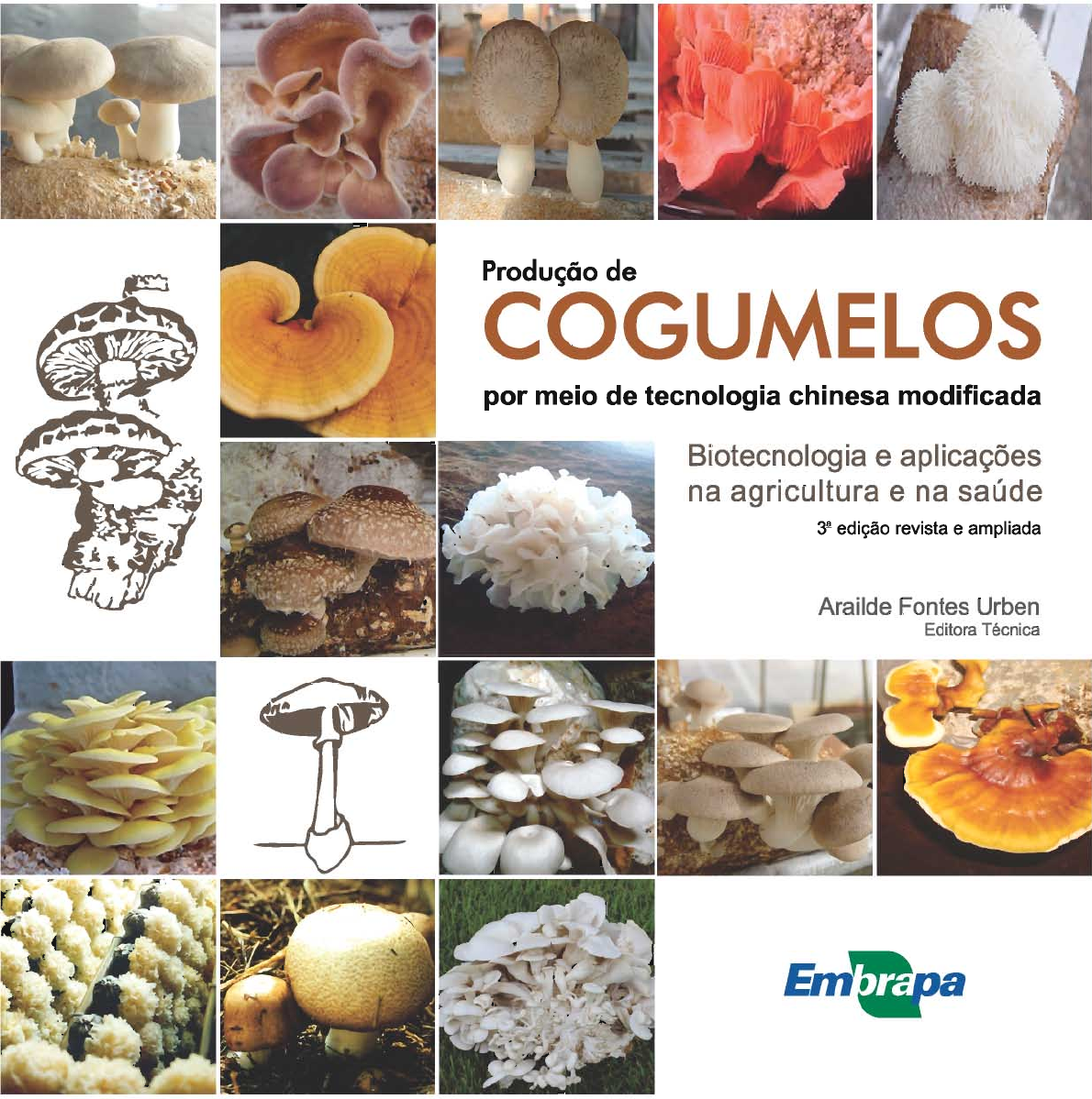 Na boca do povo: shitake, shimeji, champignon brasileiro nunca