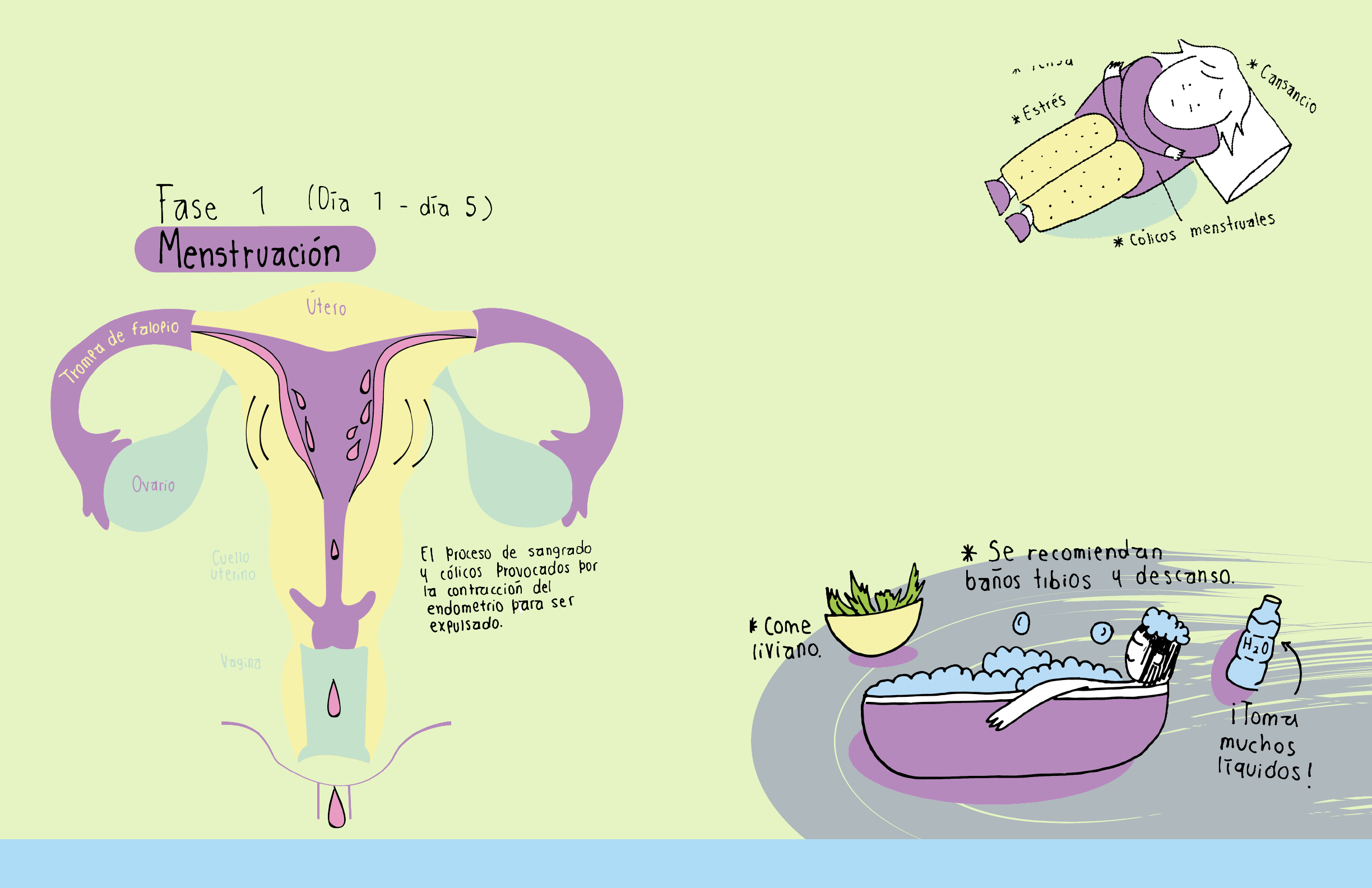 Menstruação e Masturbação - Educación sexual | Studenta