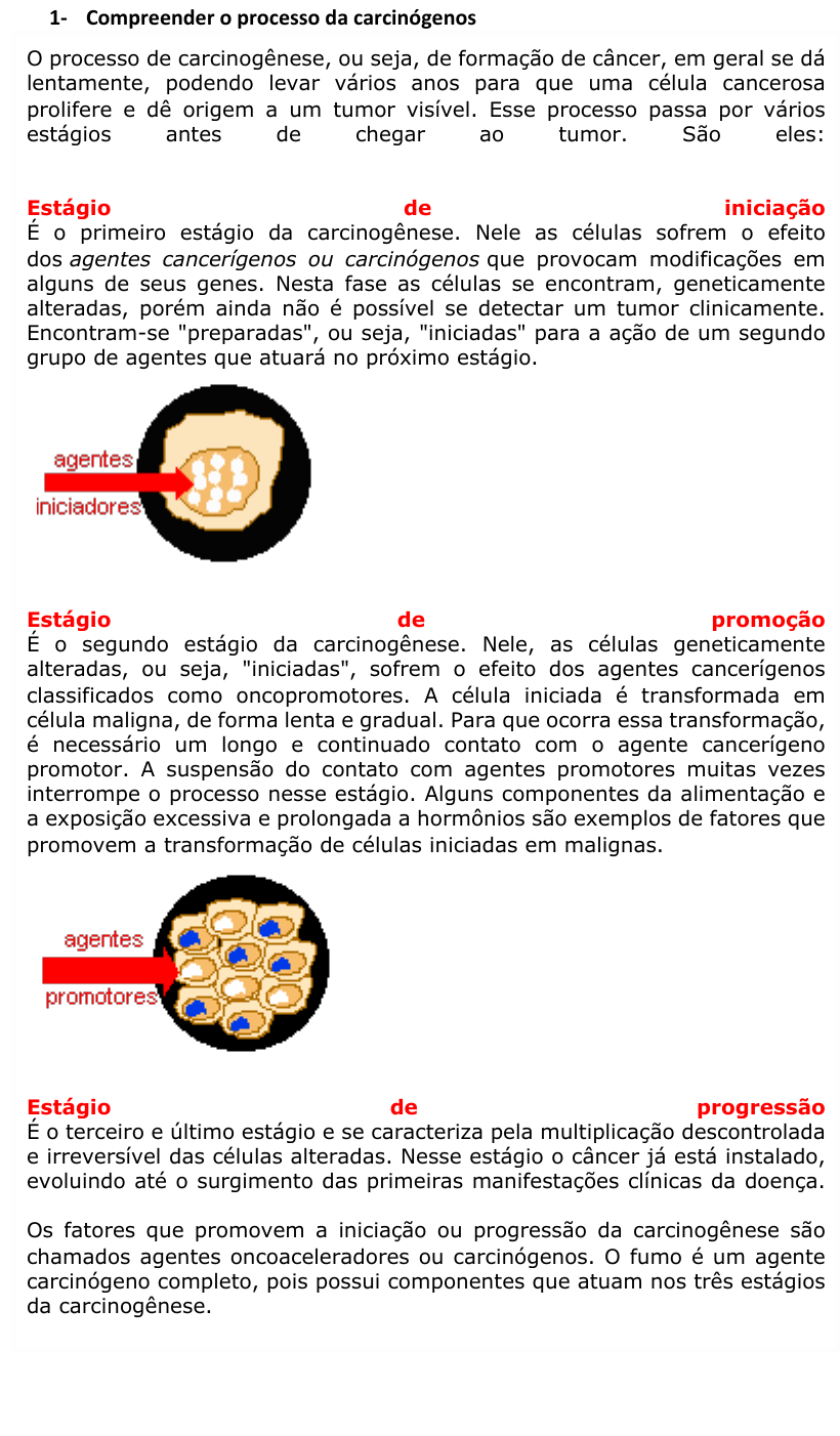 progressão da promoção da iniciação da carcinogênese