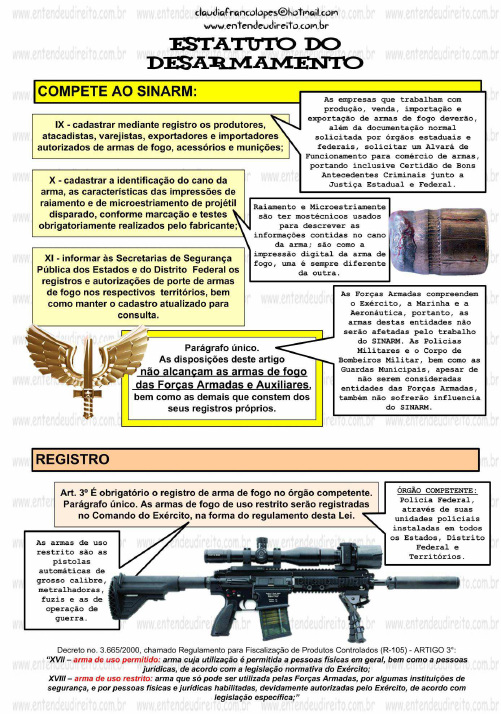 Uso permitido, uso proibido, munição, acessório, arma de fogo: o que  significam esses termos? 