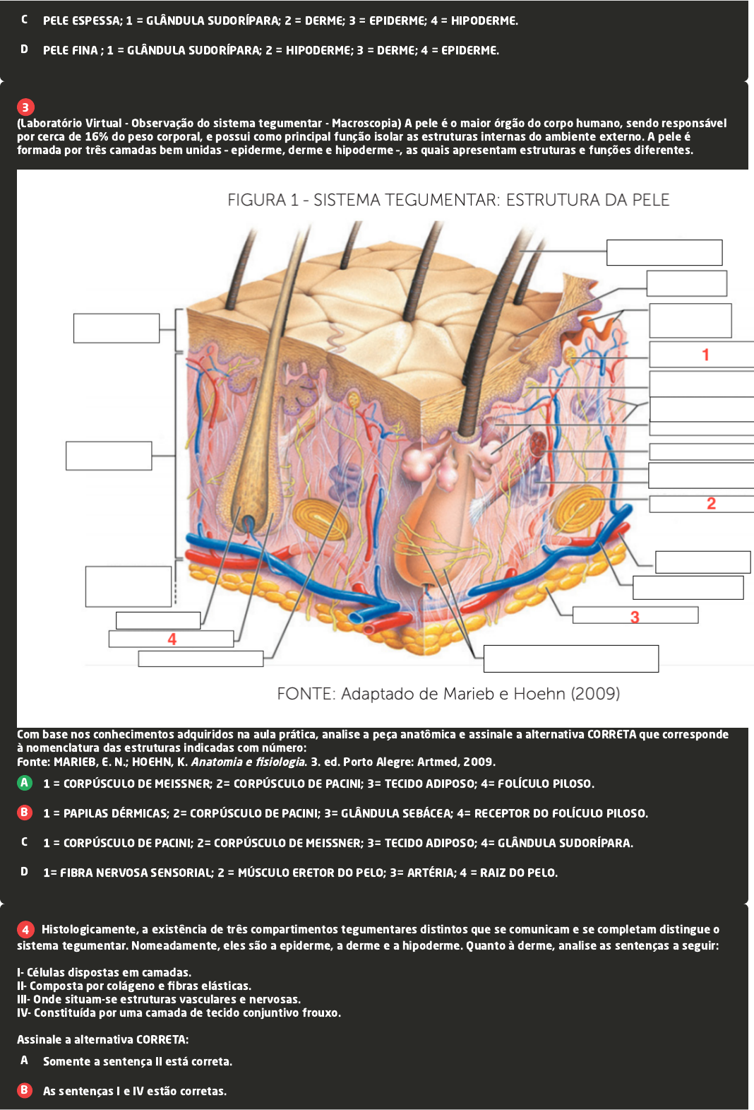 Corpusculo De Pacini Na Derme SISTEMA NERVOSO PARTE 5