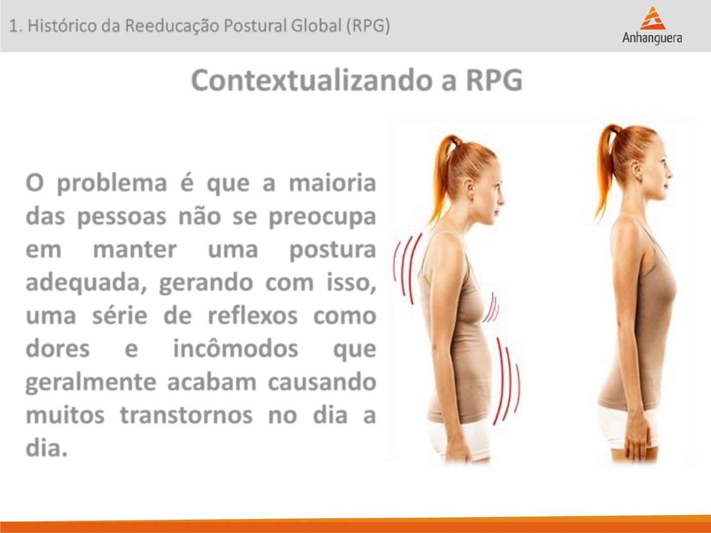 que músculos compõem a cadeia mestra posterior - Cinesioterapia