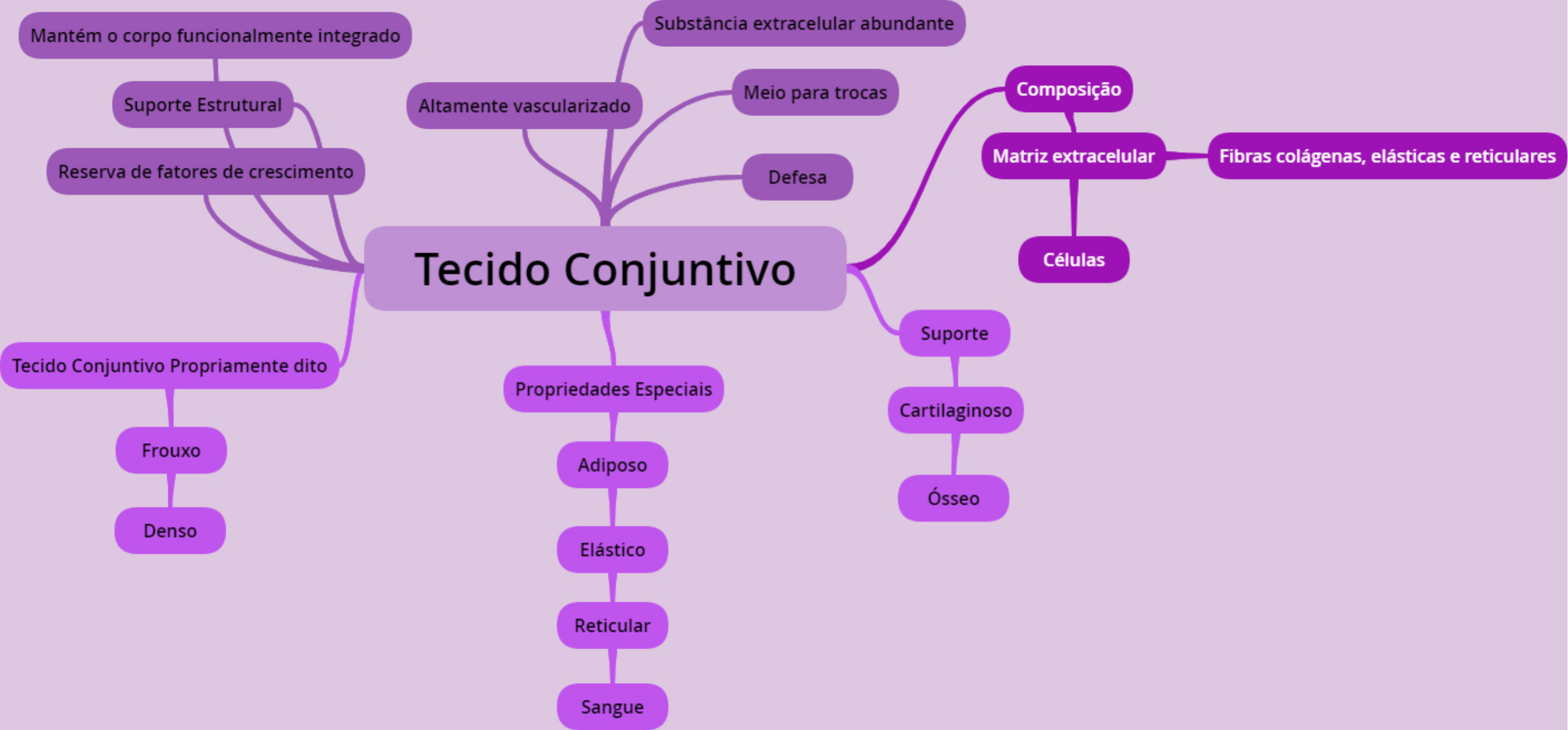 Tecido Conjuntivo Histologia E Embriologia