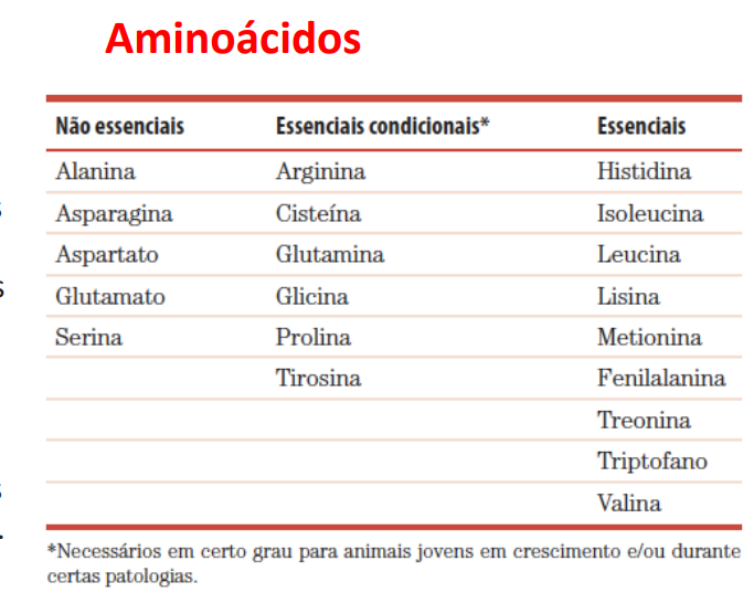 Aminoácidos Essenciais E Não Essenciais Biologia 8672