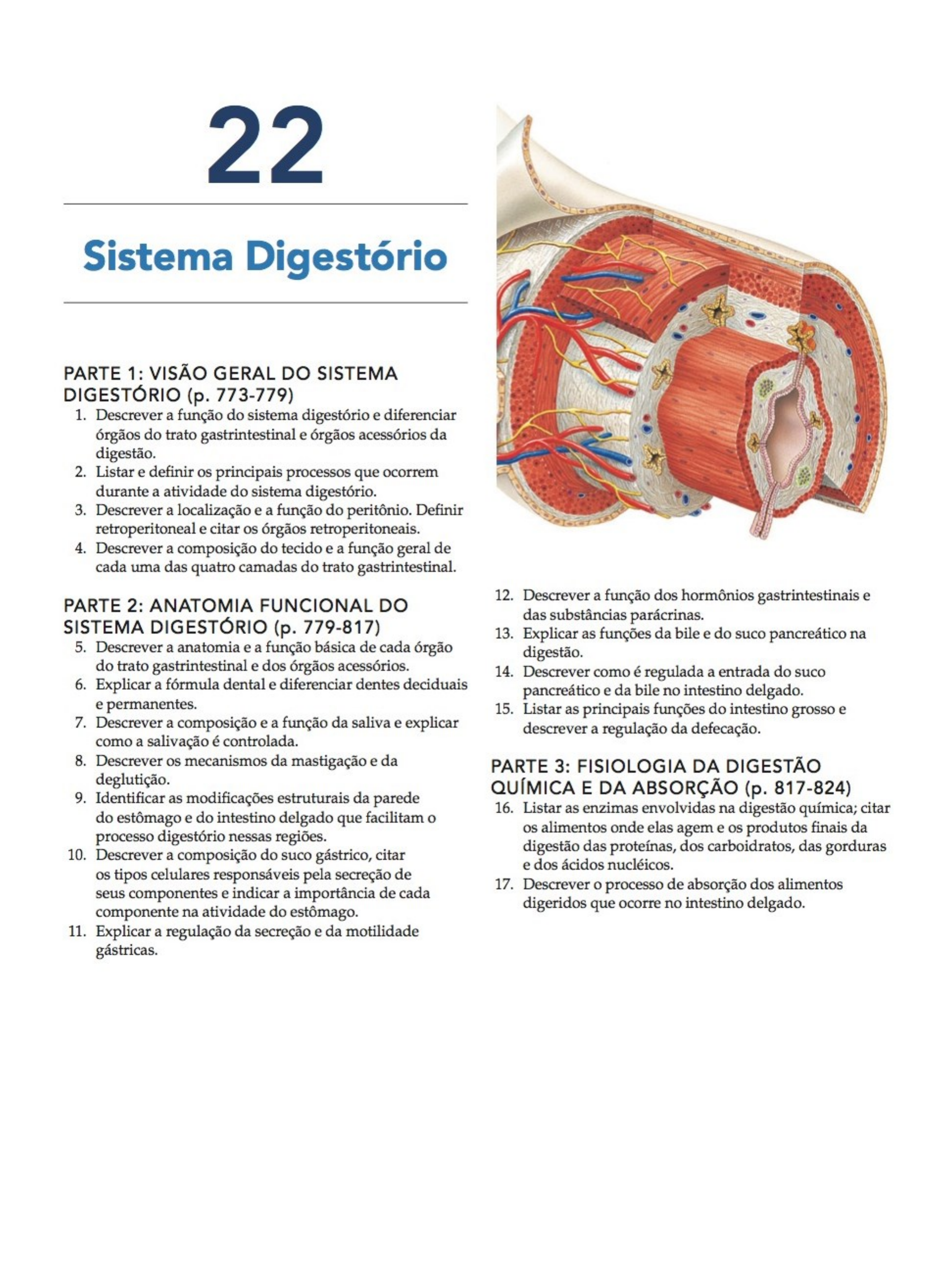 atividades com sistema digestorio - Pesquisa Google