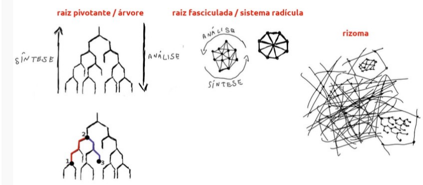 rizoma deleuze