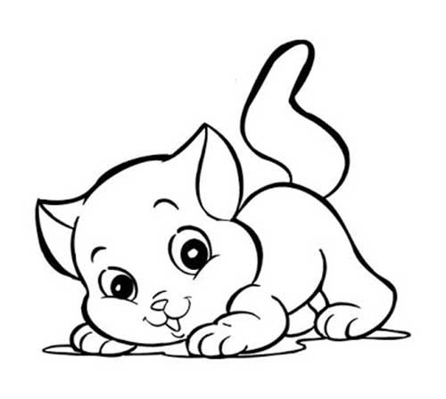 50 Desenhos de Gato para Imprimir e Colorir - Online Cursos Gratuitos -  Direito Constitucional I