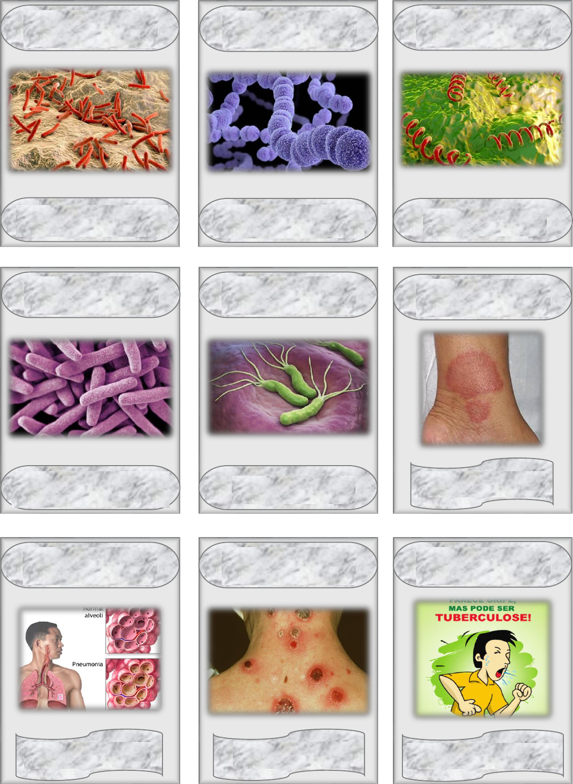 Grátis: Jogo de cartas- reino monera - Material Claro e Objetivo em PDF  para Estudo Rápido