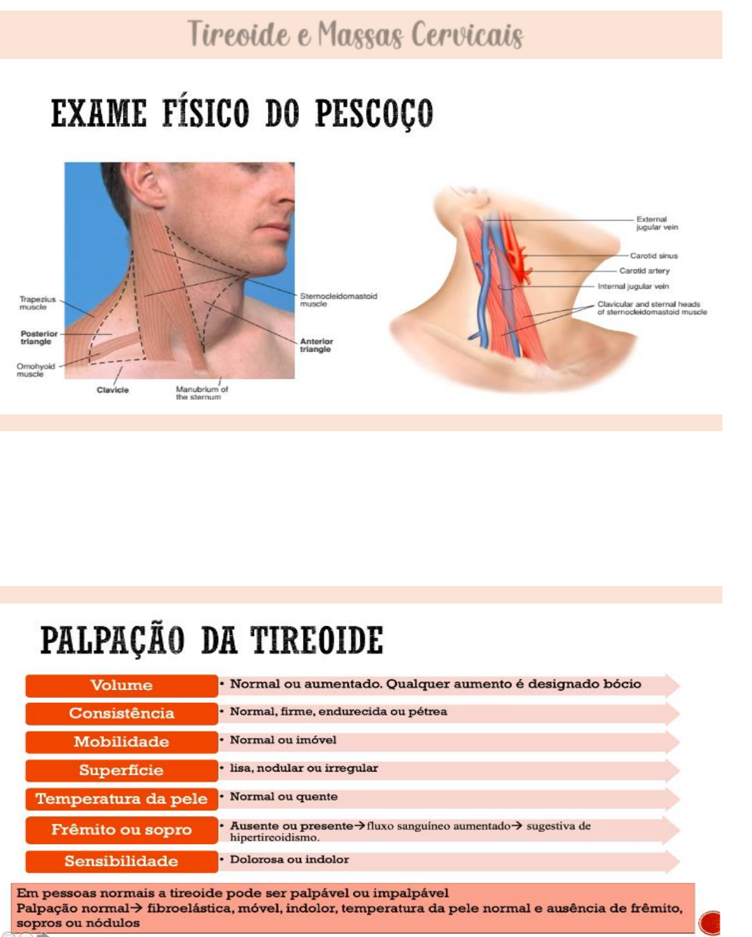 Grátis: Tireoide e massas cervicais - Material Claro e Objetivo em PDF para  Estudo Rápido, image size:1069x1332