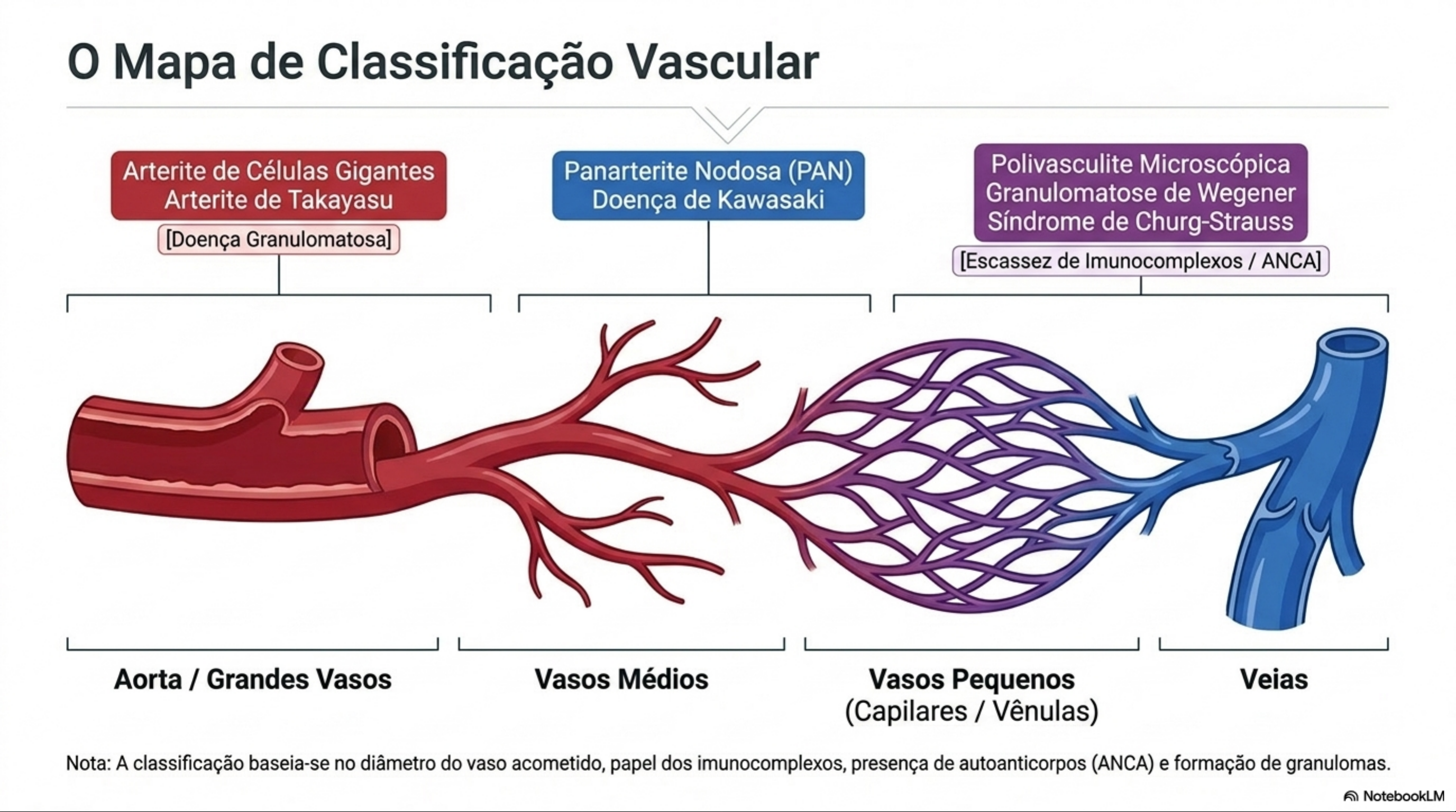 Gratis: Atlas das Vasculites - Material PDF claro y objetivo para