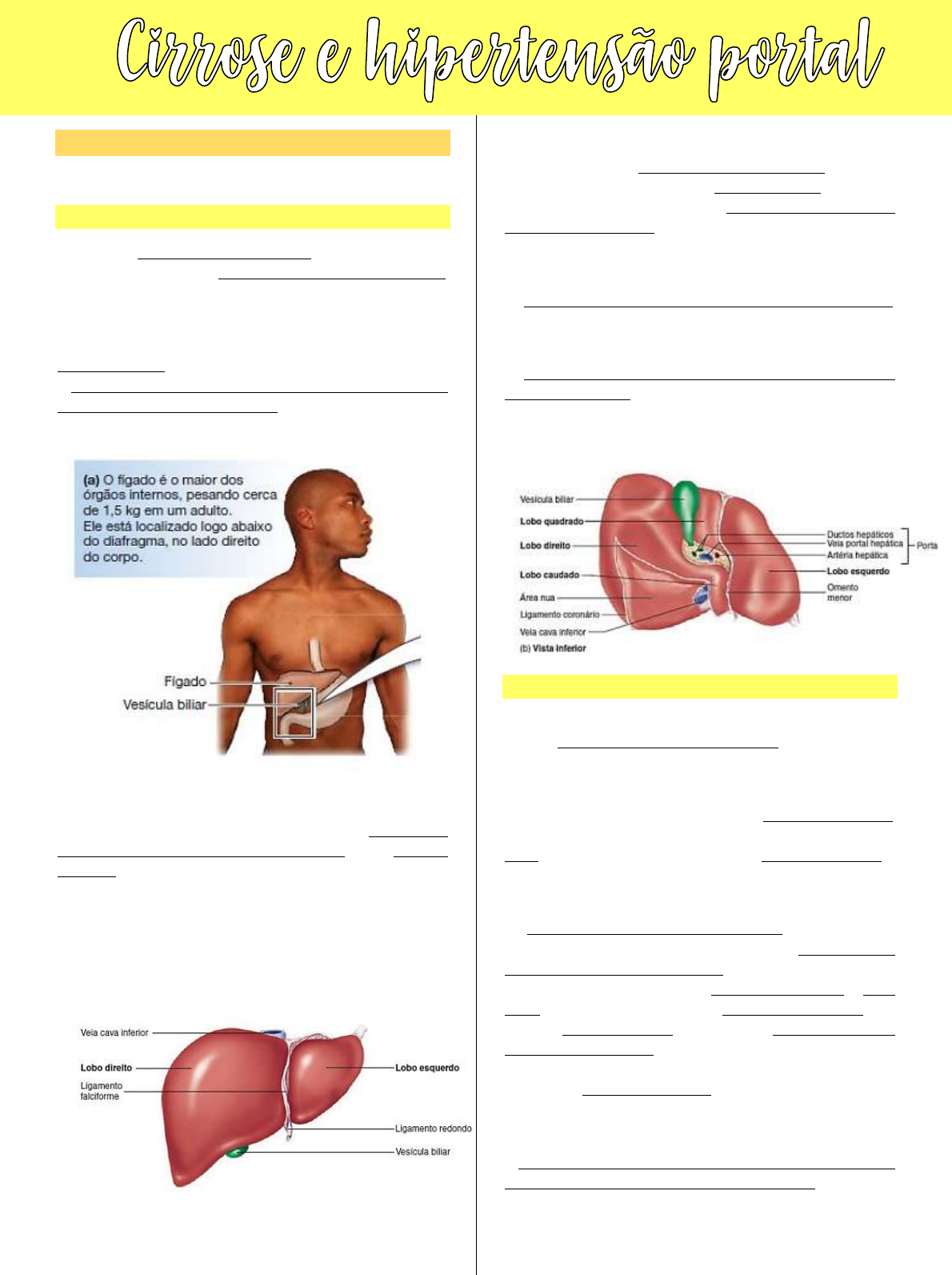 APG 12 CIRROSE HEPATICA E HIPERTENSAO PORTAL POLIANA 1  Anatomia 