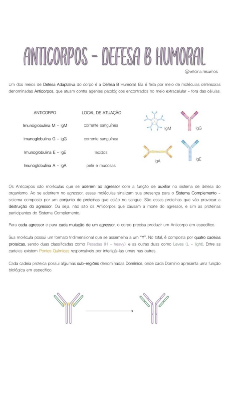 Anticorpos Defesa B Humoral - Medicina Veterinária