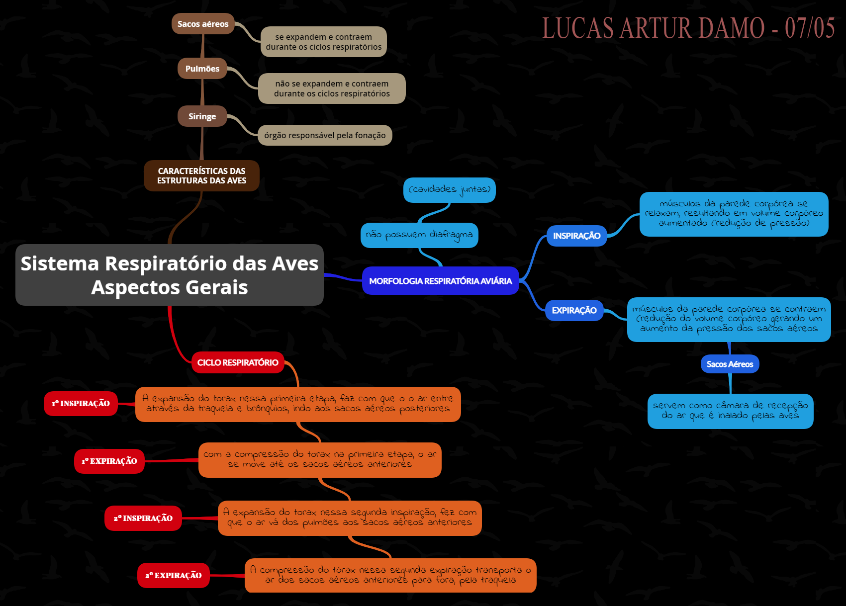 MAPA MENTAL - Sistema Respiratorio Aves Aspectos Gerais - Fisiologia  Veterinária II