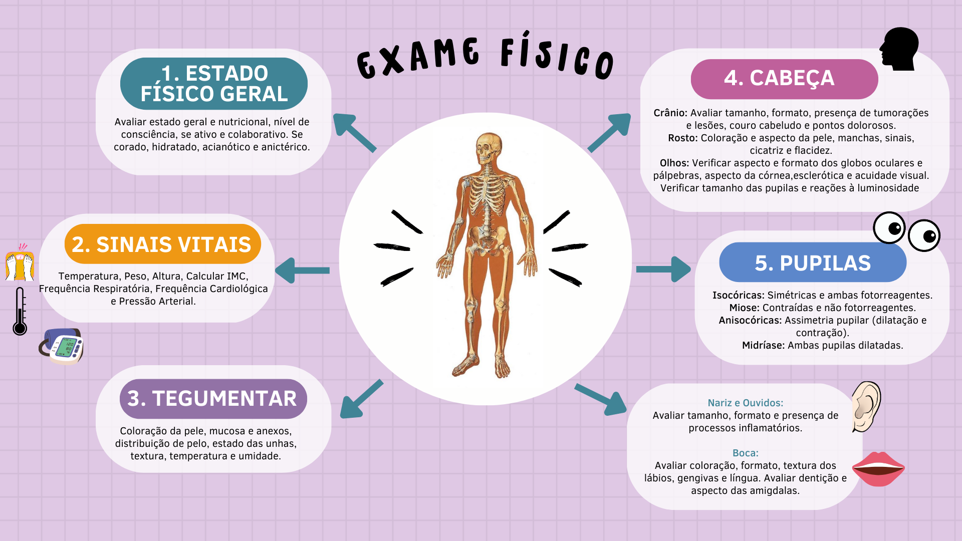 Anamnese, Sinais Vitais e Exame Físico Completo, Resumos Enfermagem