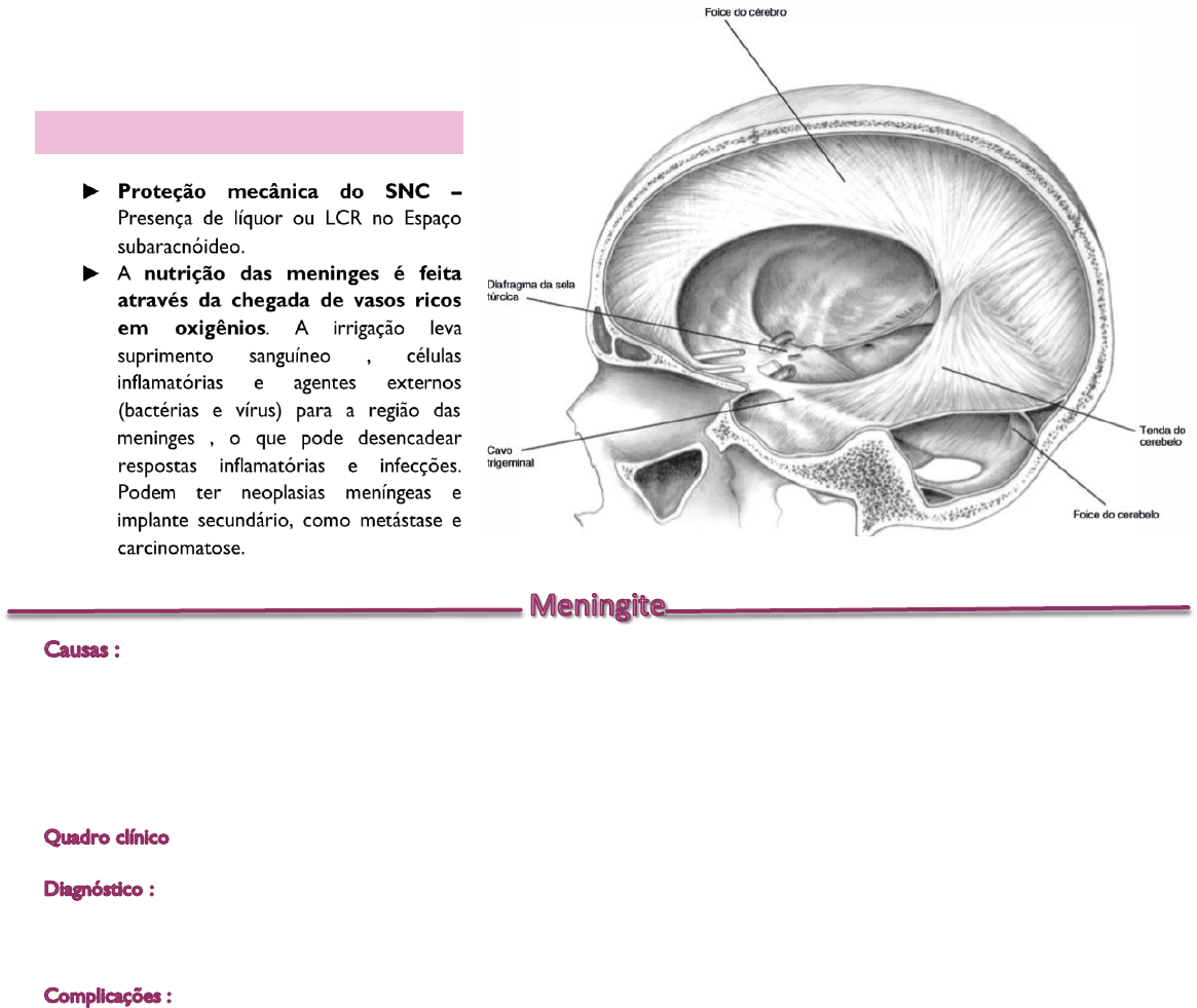 Ressonância magnética por Vivaldo Medeiros Santos (Ebook) - Leia  gratuitamente por 30 dias, image size:1165x981
