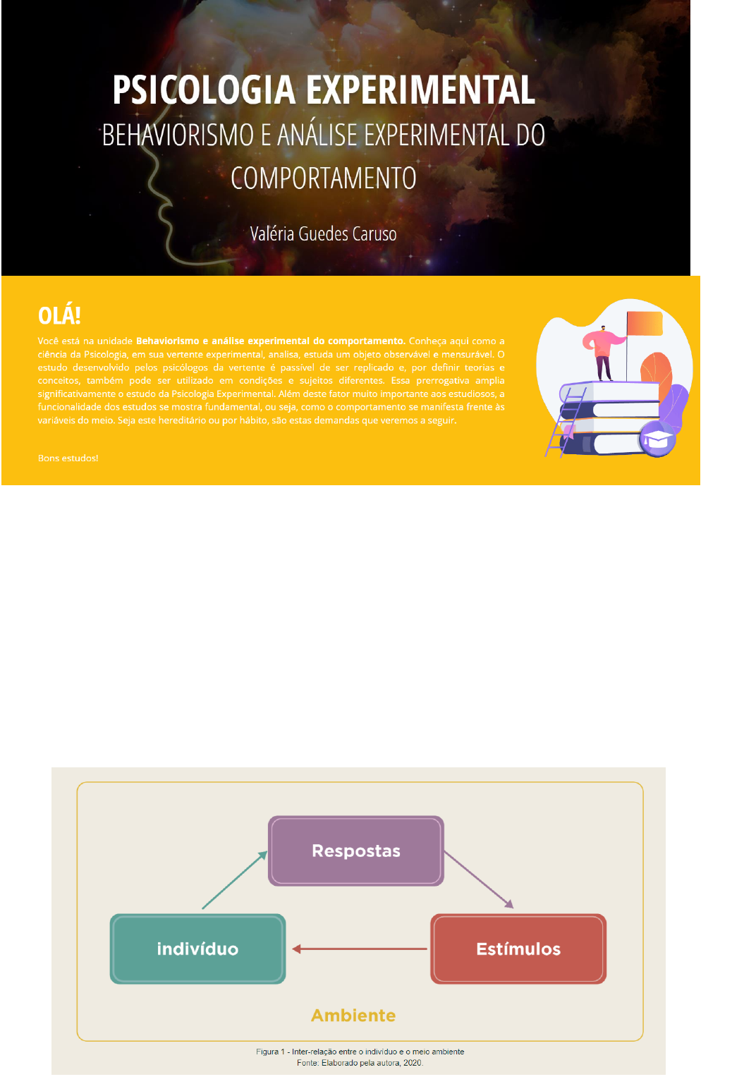 Modificacao Do Comportamento - Teoria E Pratica - Cengage