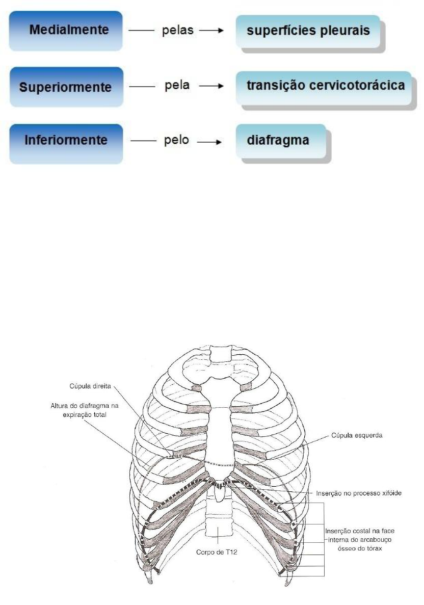 Grátis: Tipos de Contenção: Parede Diafragma e Cortina de Estaca Prancha -  Material Claro e Objetivo em PDF para Estudo Rápido, image size:832x1187