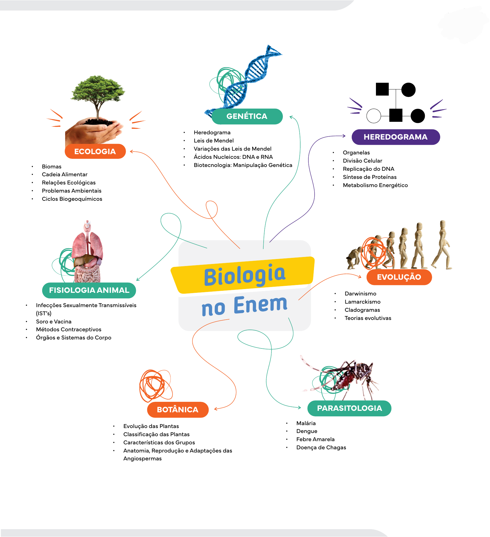 Mapa mental Biologia Enem Mapa mental Biologia Enem