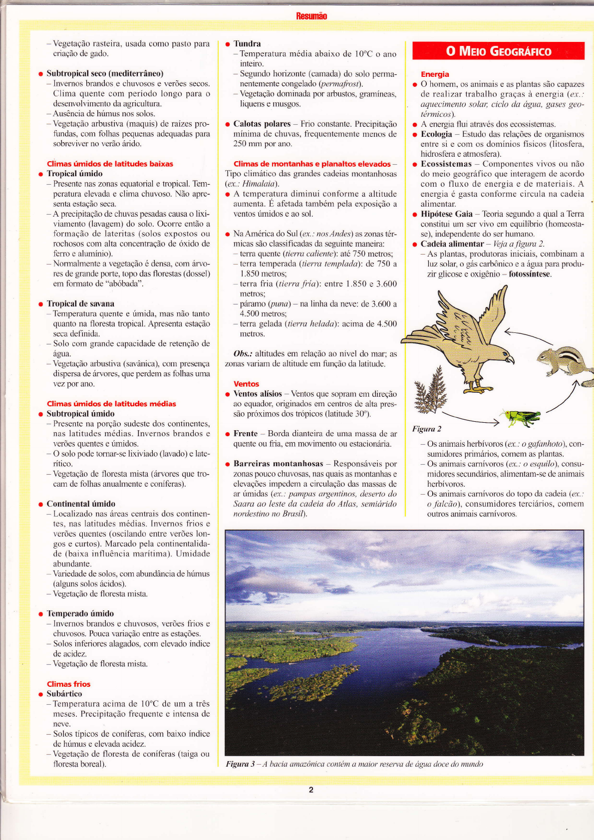 Geografia - países, cidades, continentes, rios, populações, climas,  montanhas, fauna, flora, religiões