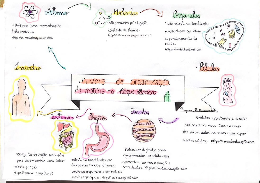 Niveis de organizacao da materia no corpo humano - Biofisica Basica