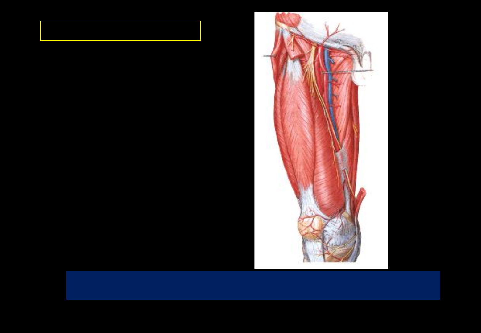 Anillo femoral outlet limites