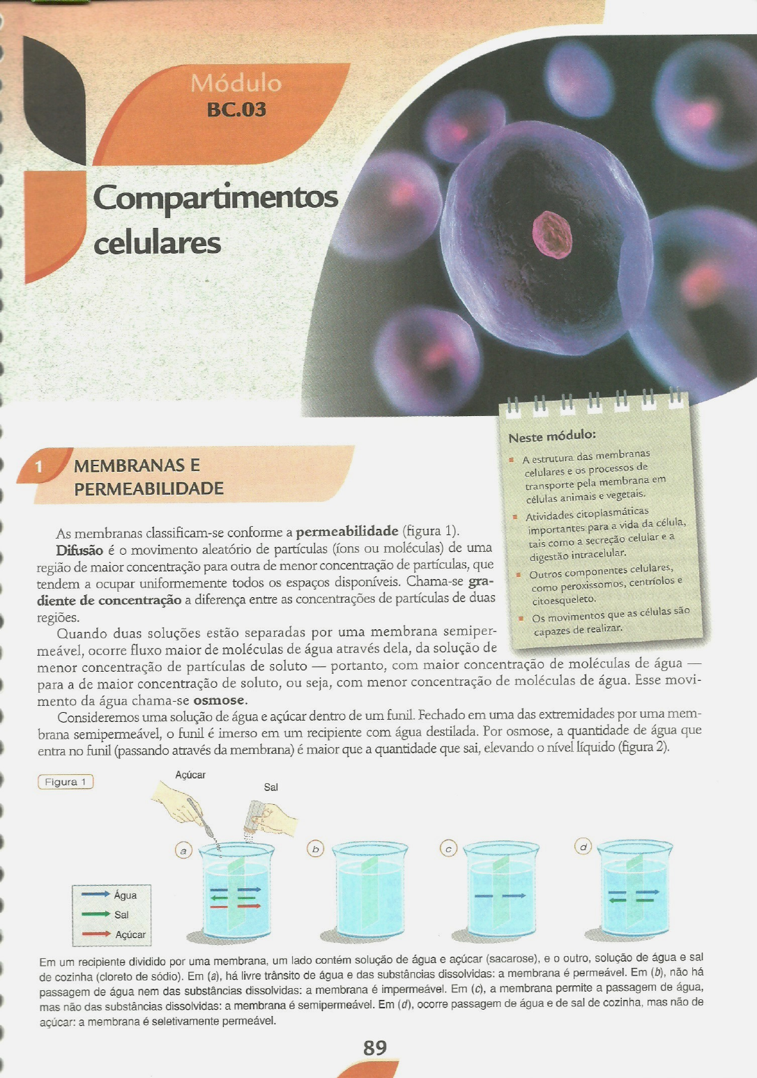 Compartimentos Celulares - B.C.03 - Biologia Celular