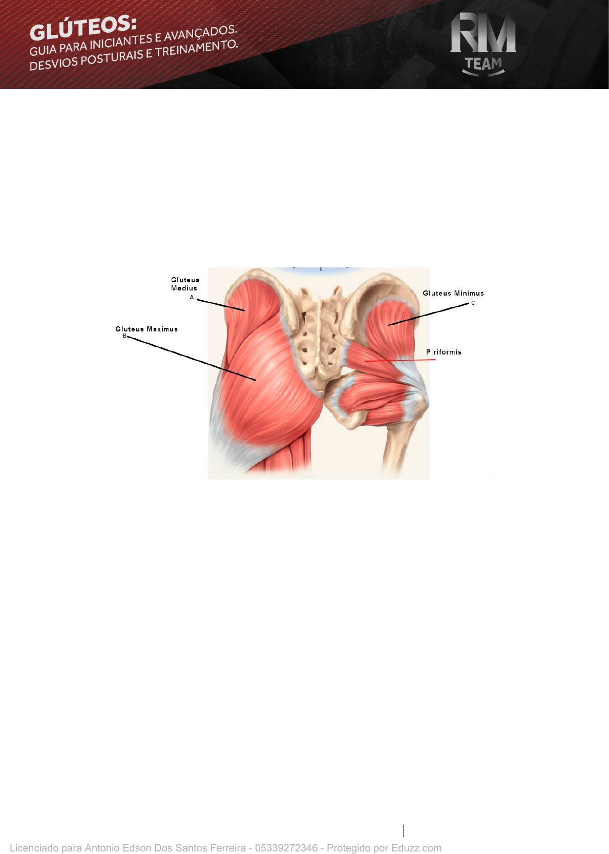 pdfcoffee com  gluteos-guia-para-iniciantes-e-avanados-devios-posturais-e-treinamento-2-pdf-free  - Musculação