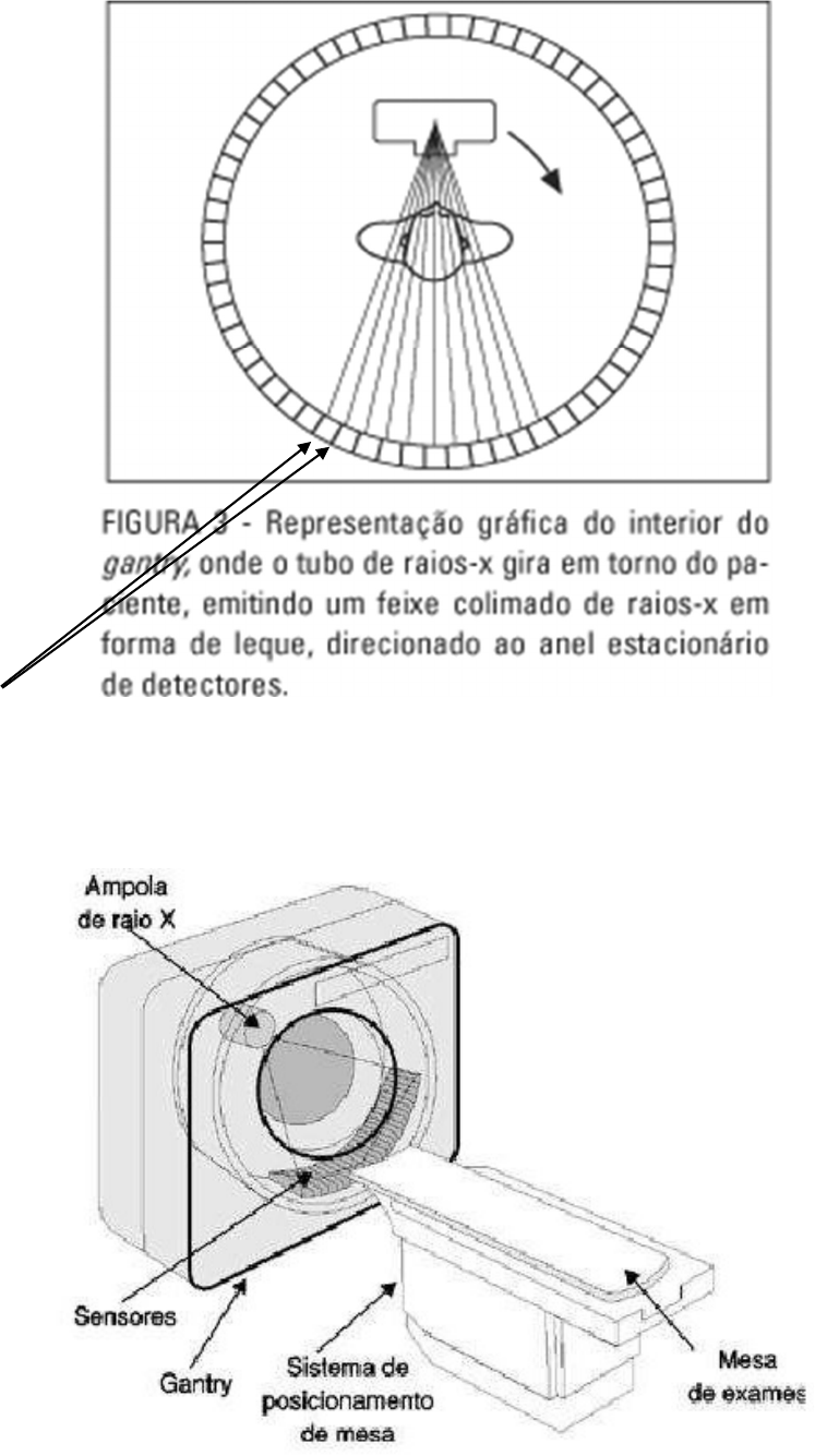 Caderno Avaliação Diagnóstica 2º Bi - Radiologia
