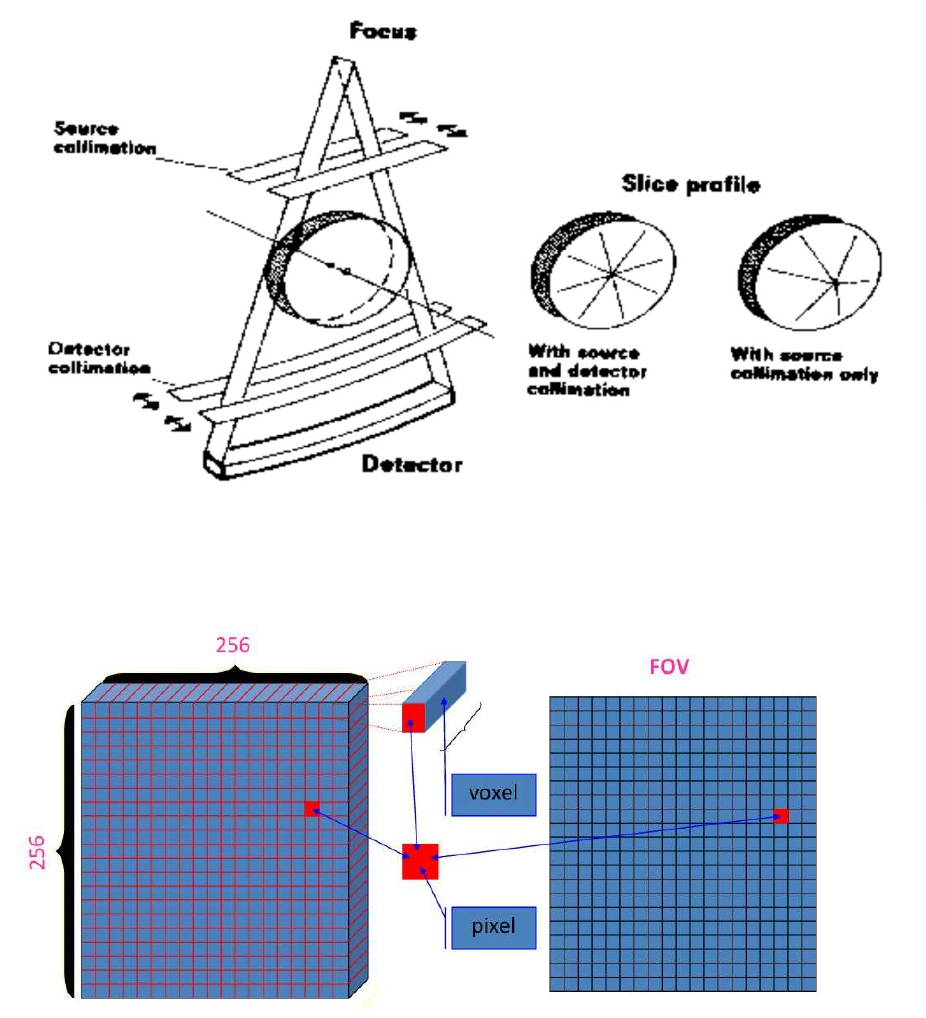Caderno Avaliação Diagnóstica 2º Bi - Radiologia