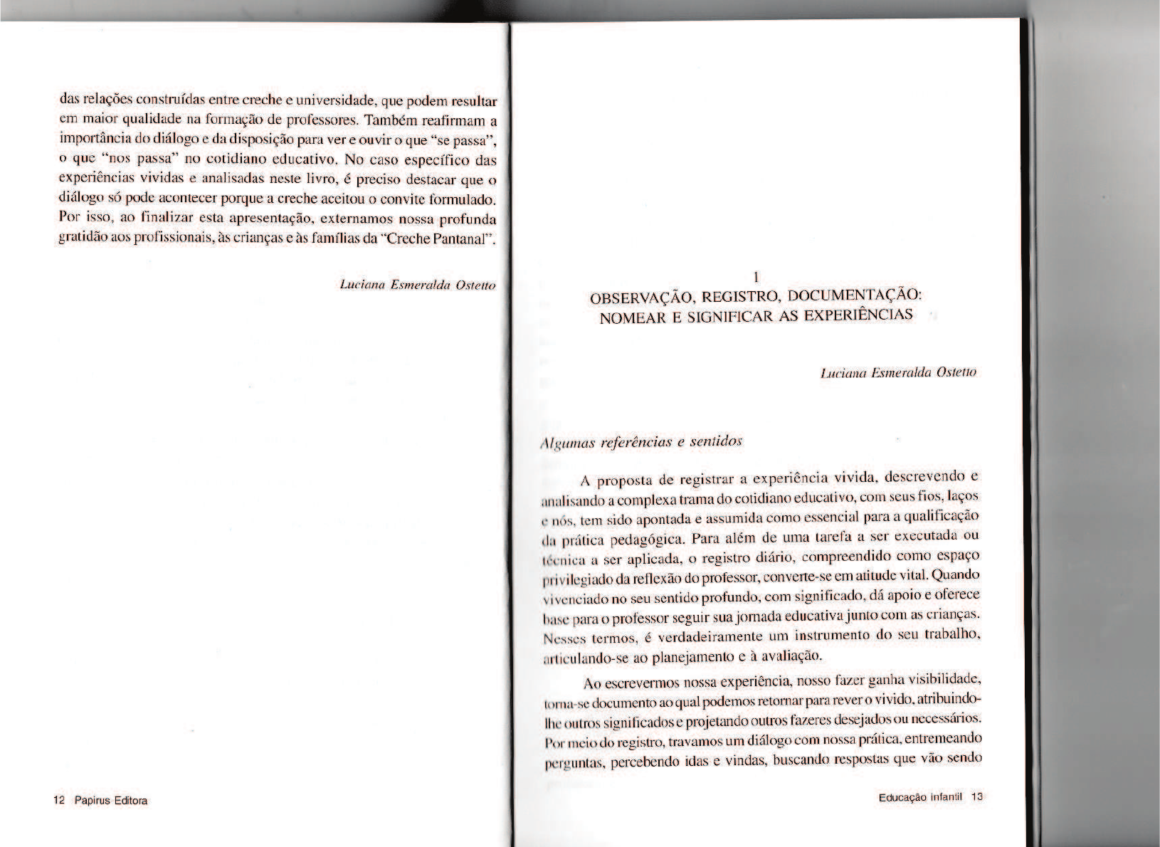 EDUCAÇÃO INFANTIL SABERES E FAZERES DA FORMAÇÃO DE PROFESSORES Educação Infantil