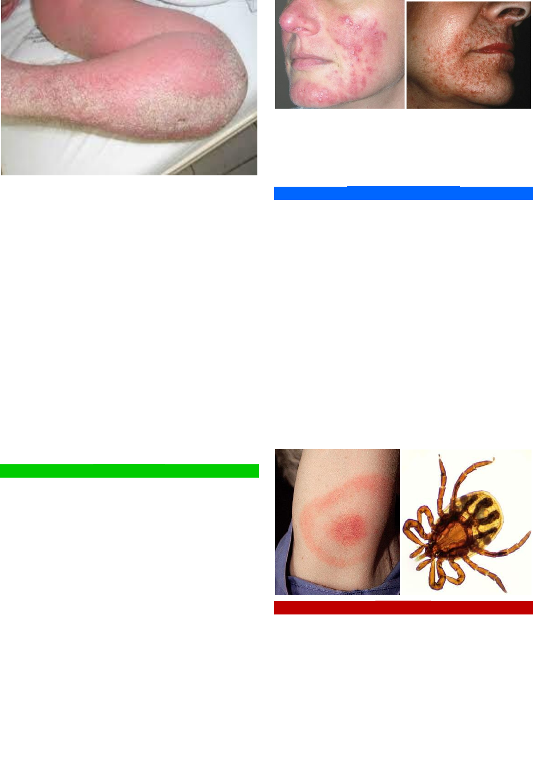 Entenda a Teniose: Causas e Sintomas, image size:1079x1567