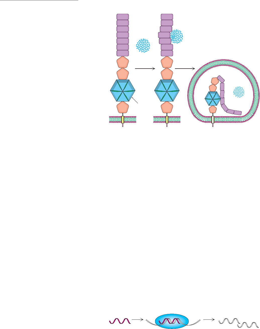 Biochemistry visual data 4