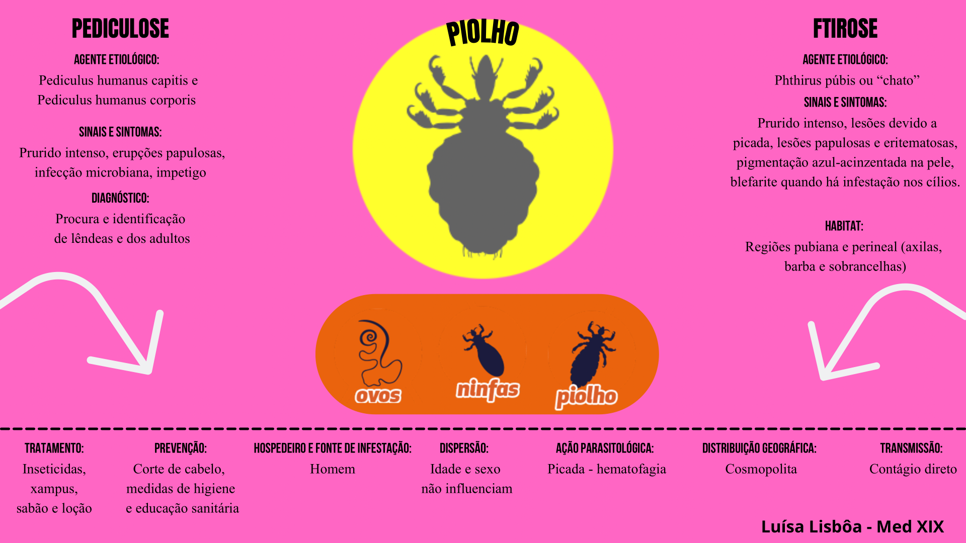 Piolho Pediculose E Ftirose Parasitologia Humana