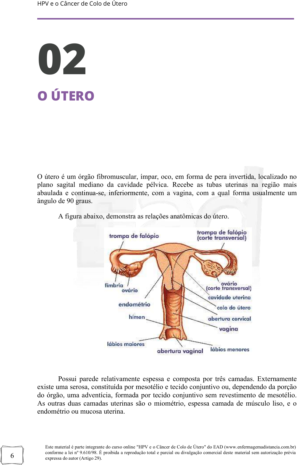 apostila do curso atualizacao em hpv e o cancer de colo de utero