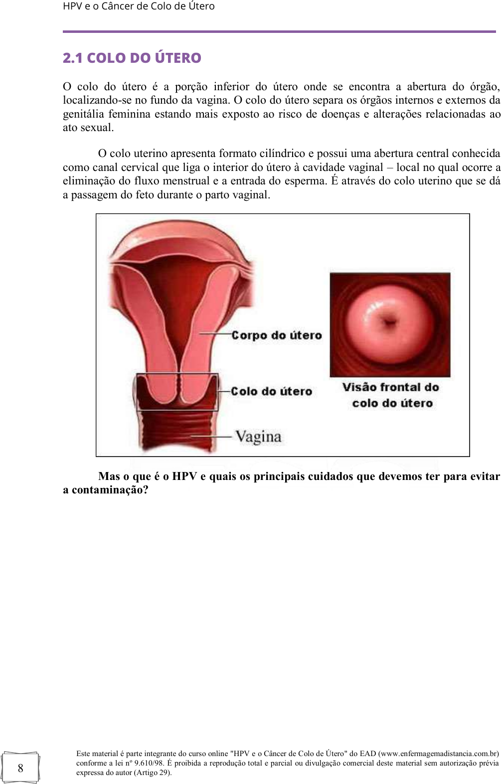 apostila do curso atualizacao em hpv e o cancer de colo de utero