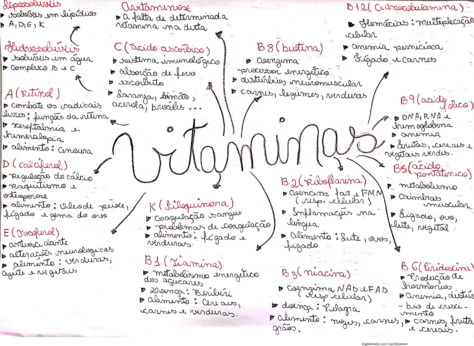 Vitaminas Biologia