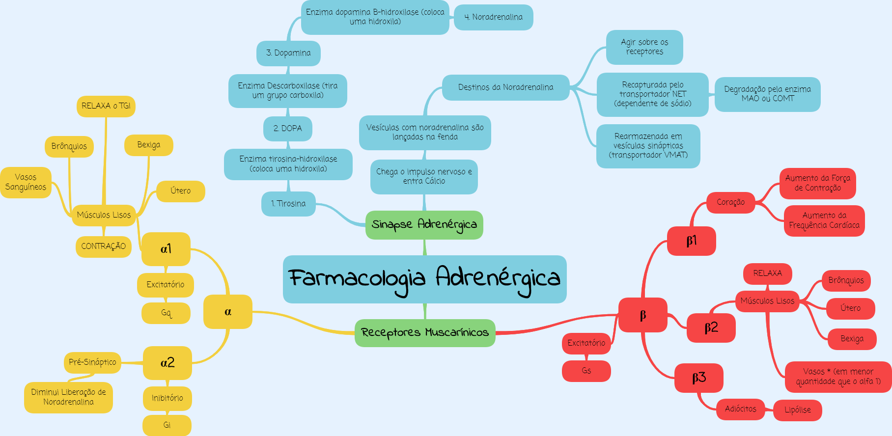 Mapa Mental de Intro à Farmacologia Adrenérgica Farmacologia I