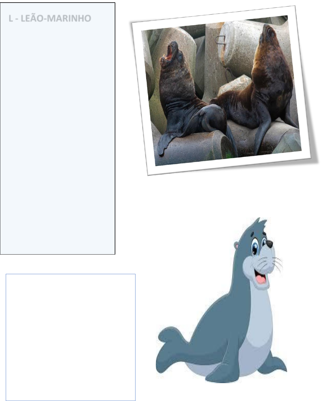 Fauna Marinha RS (@faunamarinhars) · Imbé, RS, image size:1117x1391