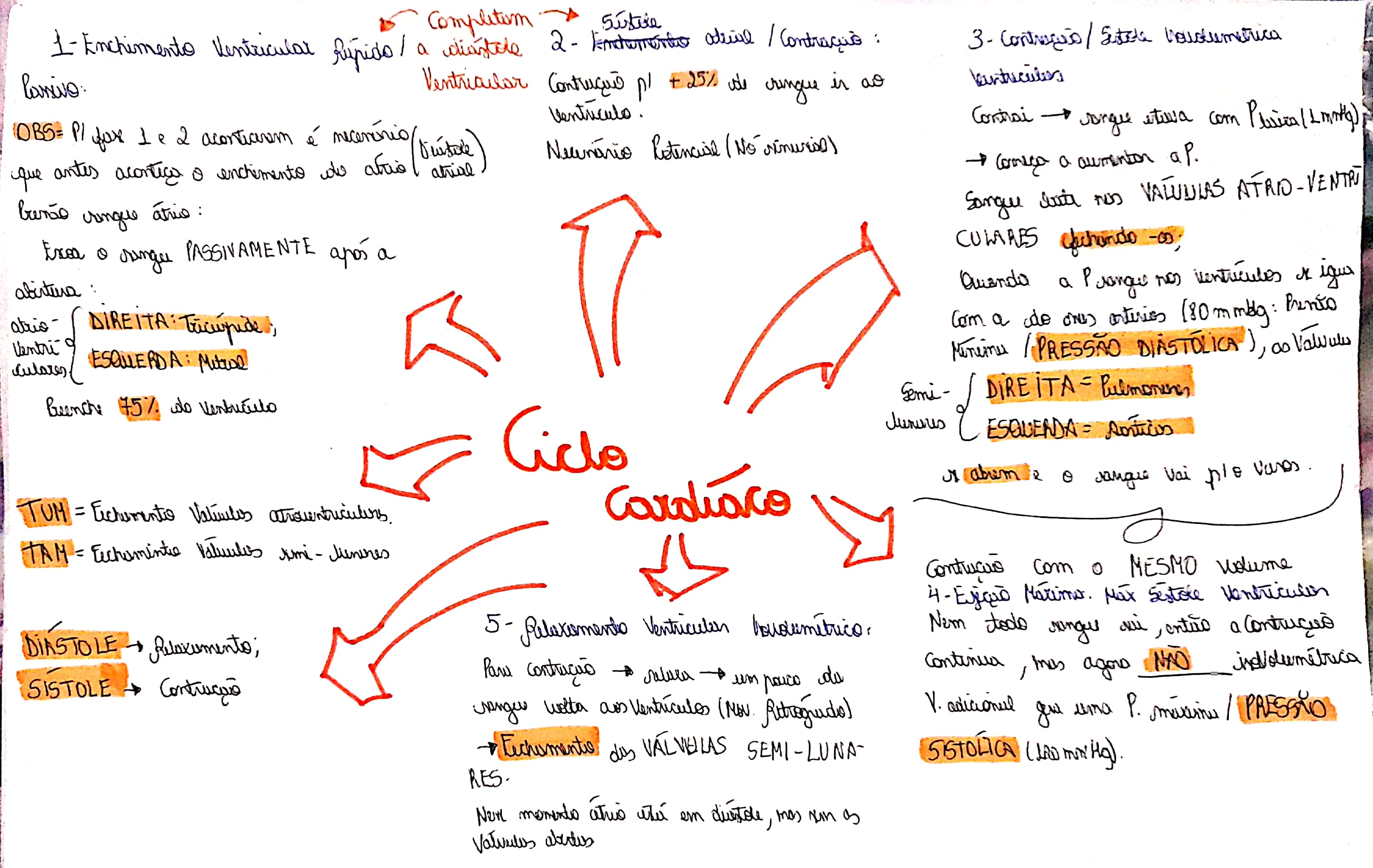 Ciclo Cardíaco - Mapa mental - Fisiologia I