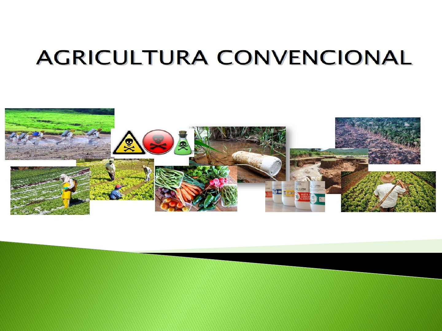 AGRICULTURA CONVENCIONAL Agricultura Geral