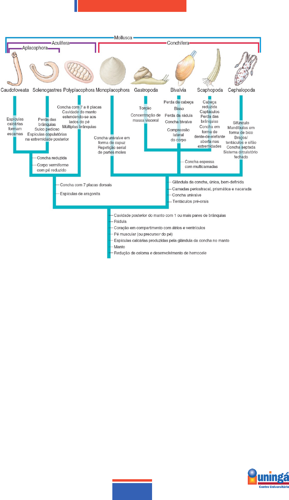 PNLD19_Apis_Lingua_Portuguesa_4ANO_PR_ATICA - João Paulo | PDF Online |  FlipHTML5, image size:975x1684