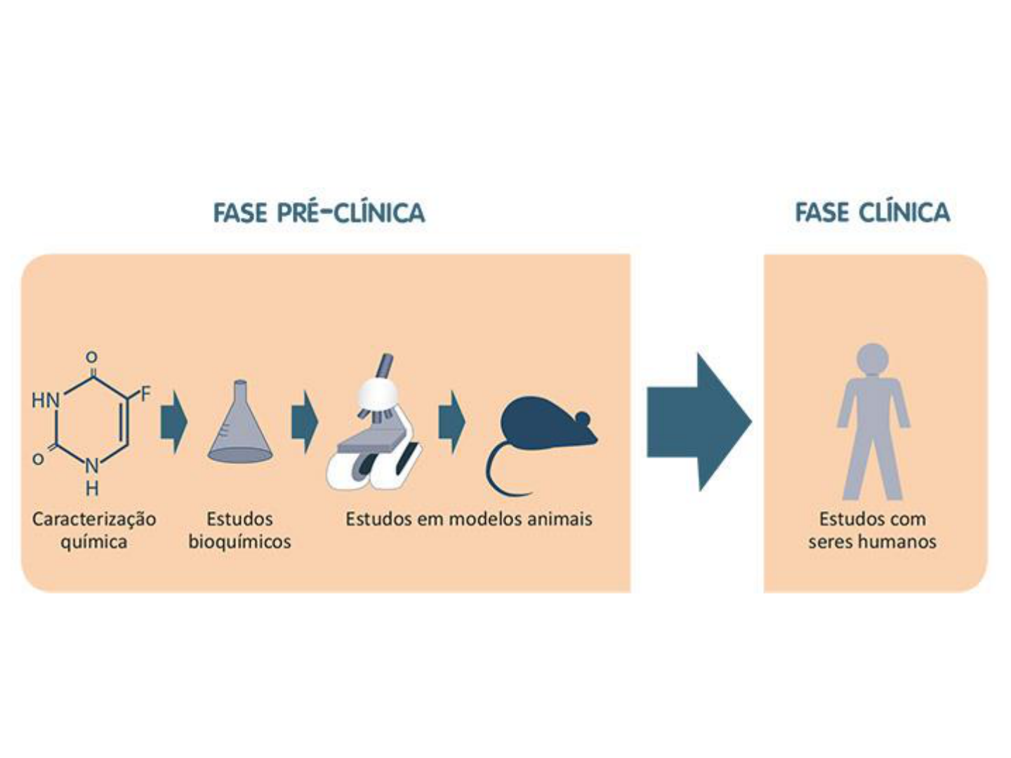 Fases Dos Ensaios ClÍnicos Farmacologia I 0581