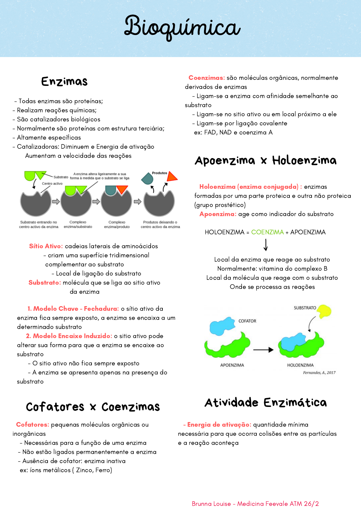 Estrutura De Luciferase 3d, Enzima Oxidativo Que Produz a Bioluminescência  Ilustração Stock - Ilustração de polipéptido, enzima: 84879381, image size:1191x1684