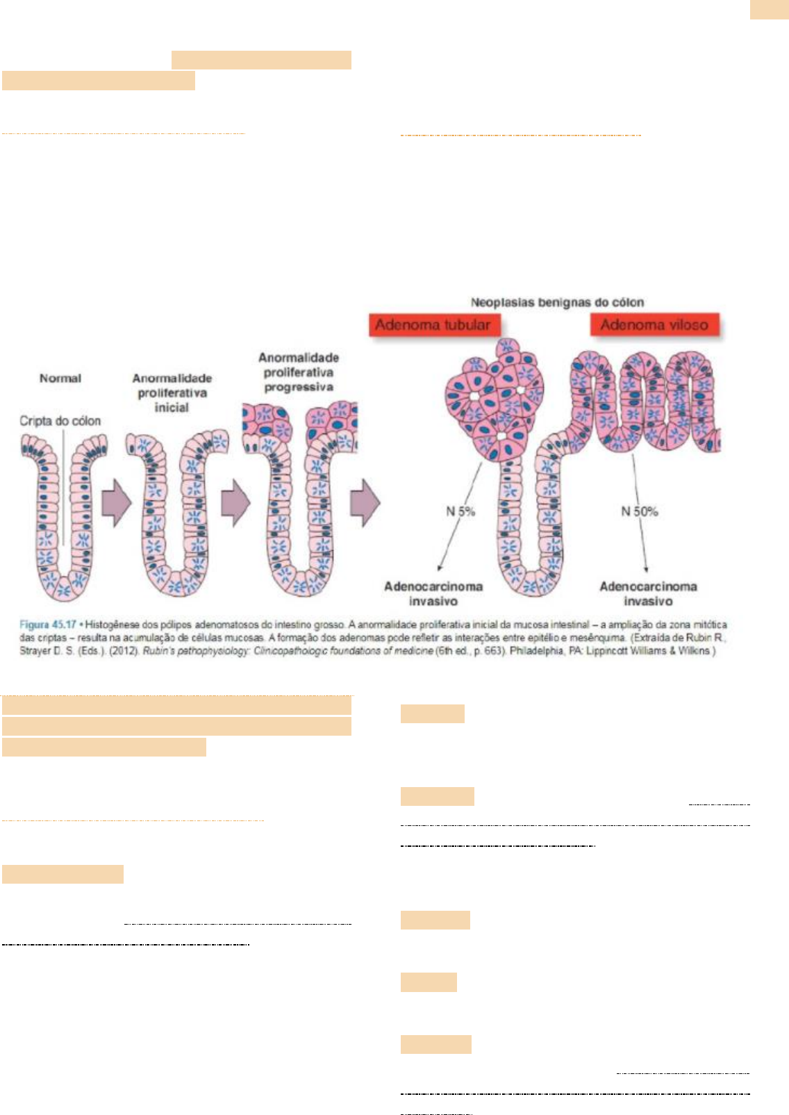 Fisiopatologia - CICLO CELULAR NORMAL Um ciclo celular normal consiste em  três etapas principais: -Interfase: Nela, a célula vive a maior parte do  tempo e se dá o crescimento. -Mitose: Divisao celular. 
