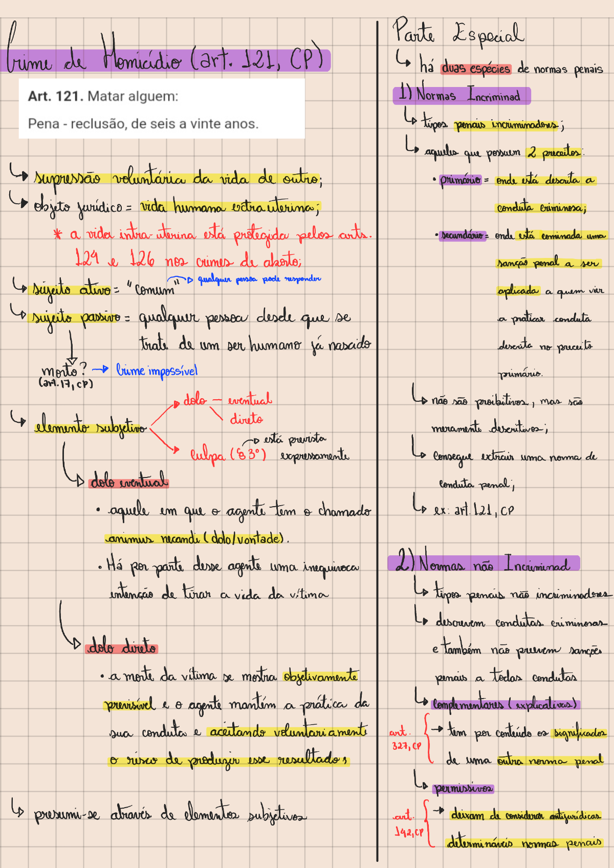 Homic dio Art 121 CP Direito Penal E Processo Penal homic-dio-art-121-cp-direito-penal-e-processo-penal