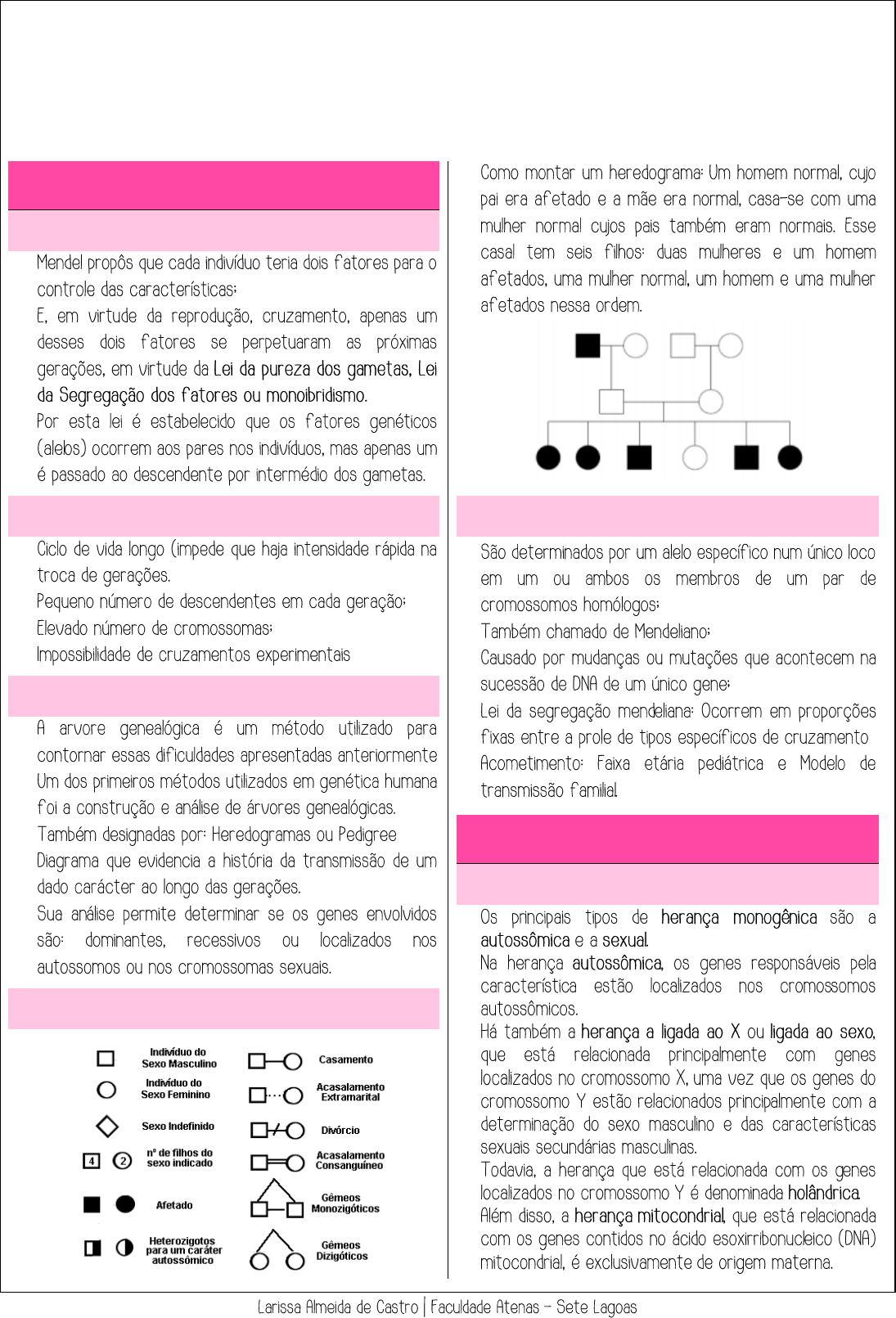 Diagrama De Heranca Genetica