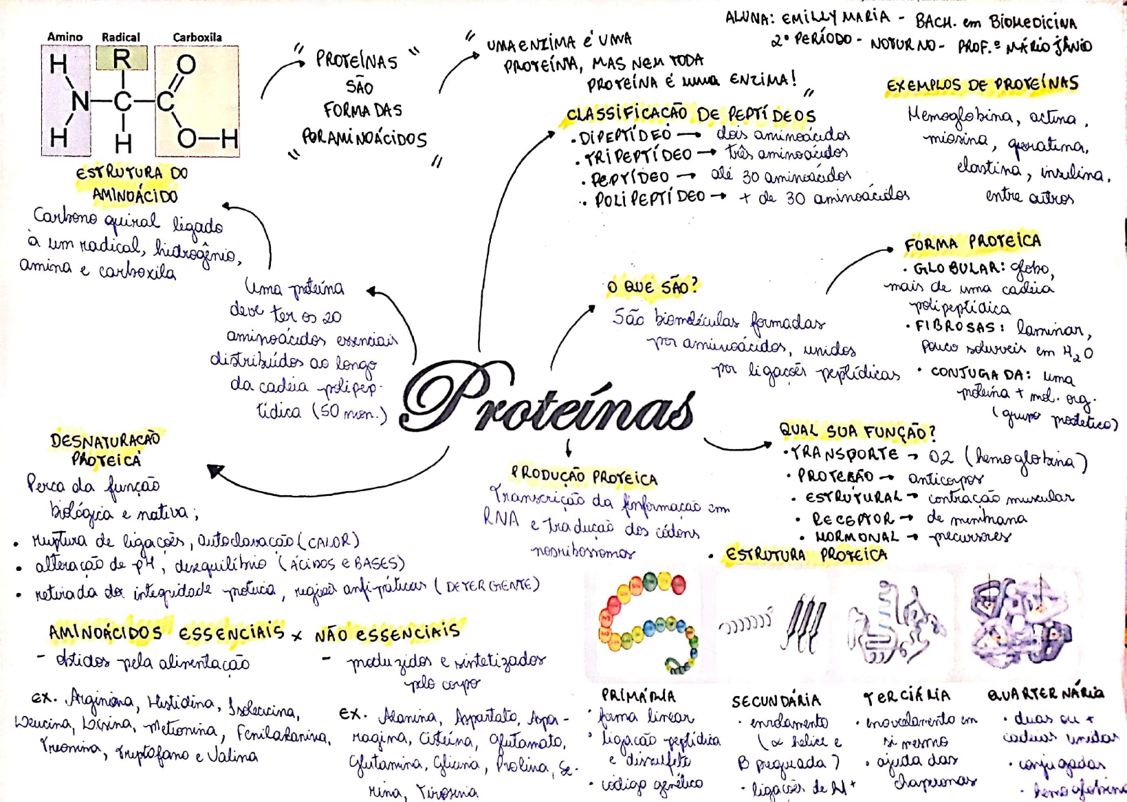 Mapas Mentais Biomol Culas Emilly Bioqu Mica I