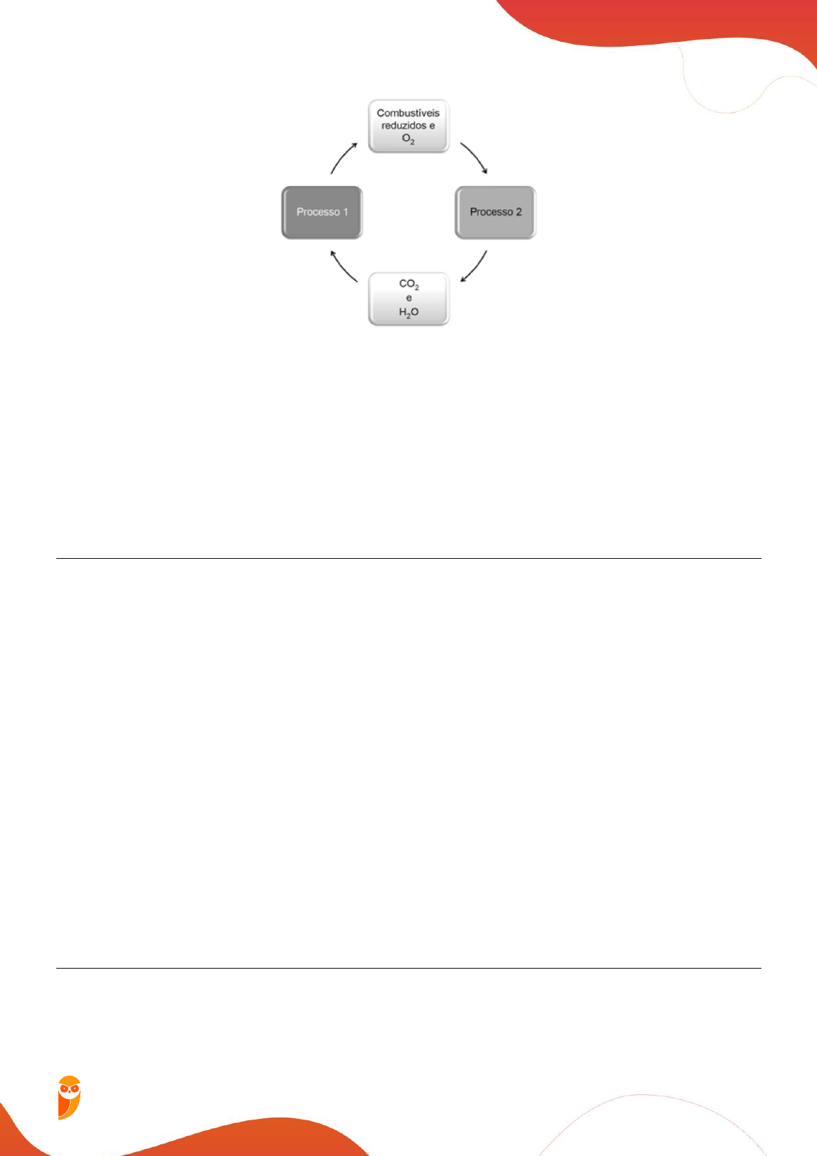 5to Guía Nat Sec | PDF | Química | Organismos, image size:1190x1684