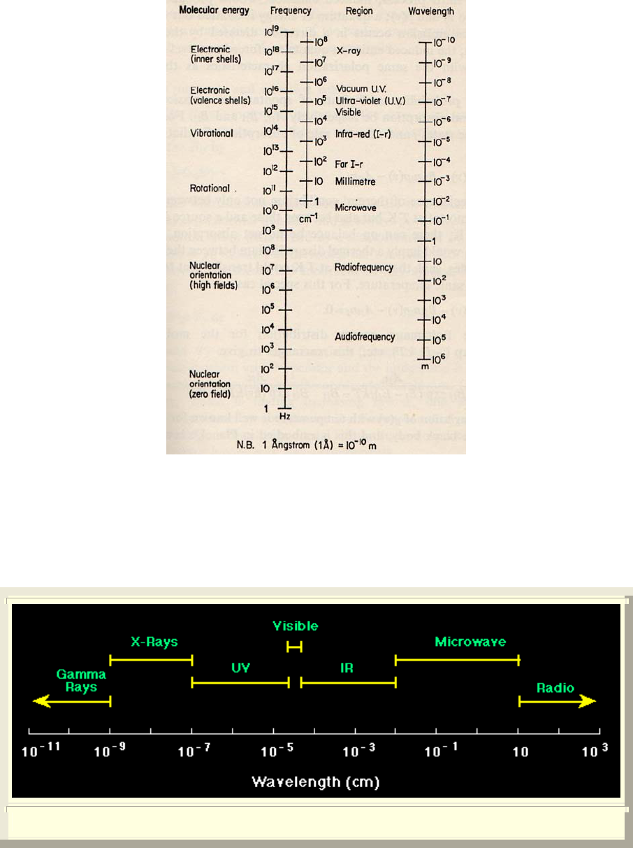 Quero saber sobre: ONDAS!: fevereiro 2013, image size:906x1213