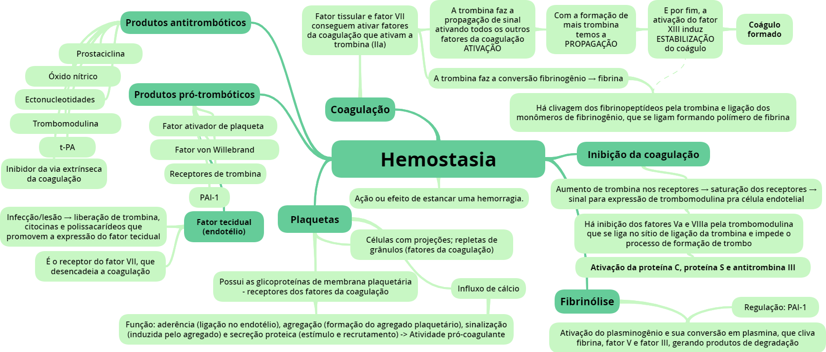 Mapa Mental Hemostasia E Coagulação Sanguínea Hematologia Basica